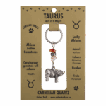 Zodiac Key Rings
